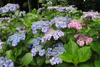 二本松寺(茨城県)