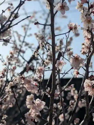 安楽寺(三重県)