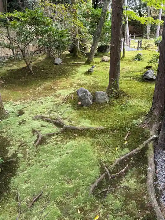 桂春院(京都府)