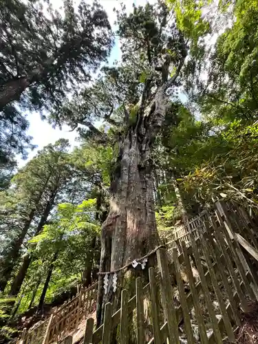 玉置神社(奈良県)