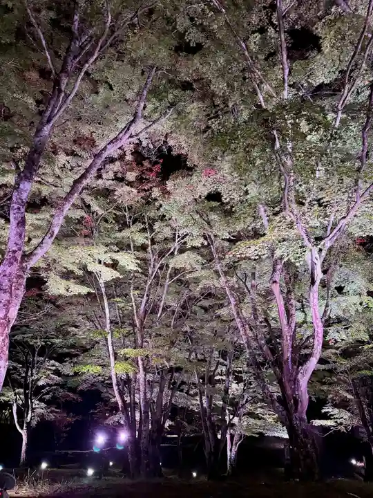 土津神社|こどもと出世の神さま(福島県)