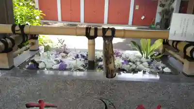 自由が丘熊野神社の手水舎