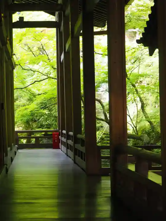 禅林寺(永観堂)(京都府)