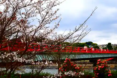 宇治神社の自然