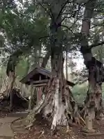 金刀比羅神社(千葉県)