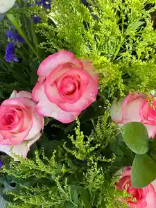 上尾御嶽神社の手水舎(2025年06月21日(土) 11時30分14秒投稿)