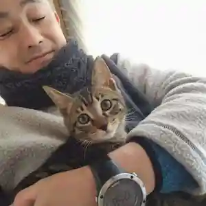 天王山 安楽寺(福井県)(2023年11月30日(木) 15時44分48秒投稿)