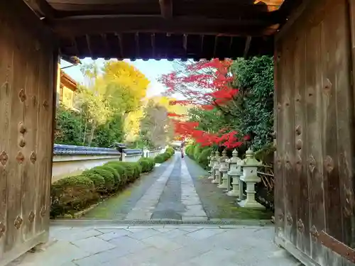 隨心院（随心院）(京都府)