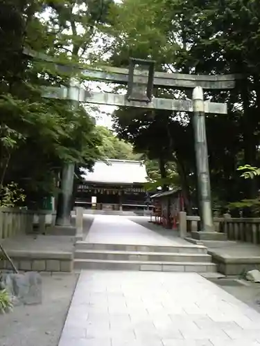 平塚八幡宮の鳥居