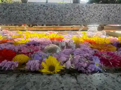 竹駒神社(宮城県)