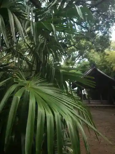 白髭社(愛知県)