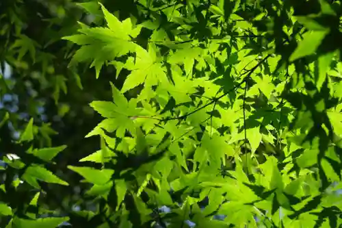 大門寺(大阪府)