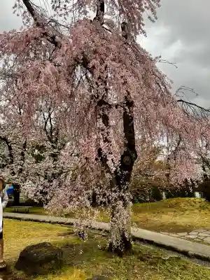 富士山本宮浅間大社の{uncategorized: "未分類", other: "その他", undefined: "問題あり", building: "その他建物", grave: "お墓", sacred_gate: "鳥居", guardian: "狛犬", statue: "像", buddha: "仏像", history: "歴史", nature: "自然", garden: "庭園", animal: "動物", pagoda: "塔", temizu: "手水舎", mountain_gate: "山門・神門", sanctuary: "本殿・本堂", subordinate: "末社・摂社", art: "芸術", scenery: "景色", jizo: "地蔵", ema: "絵馬", goshuin: "御朱印", omikuji: "おみくじ", items: "授与品その他", amulet: "お守り", goshuincho: "御朱印帳", eats: "食事", festival: "お祭り", votive_dance: "神楽", shichigosan: "七五三参", wedding: "結婚式", experience: "体験その他", initially: "初詣", around: "周辺", anti_infection: "感染症対策"}