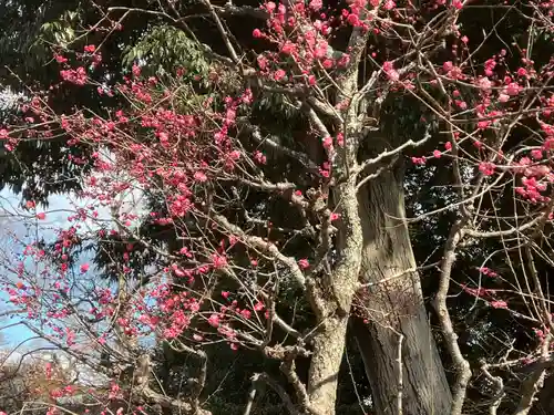北野天満宮(京都府)