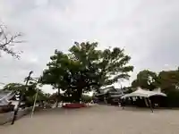 百舌鳥八幡宮(大阪府)