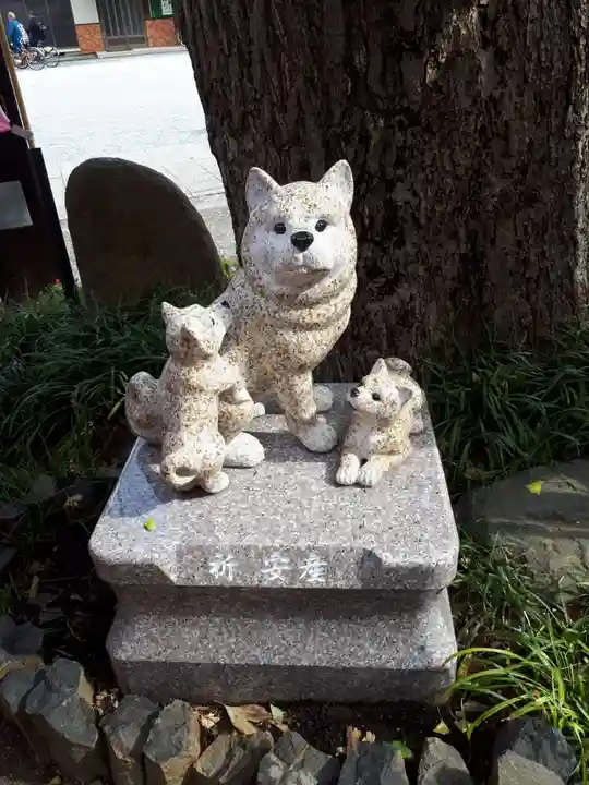 川越八幡宮の狛犬