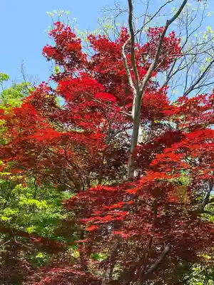 善光寺(長野県)