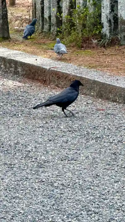 今宮神社(京都府)