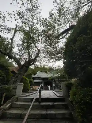 報国寺(神奈川県)