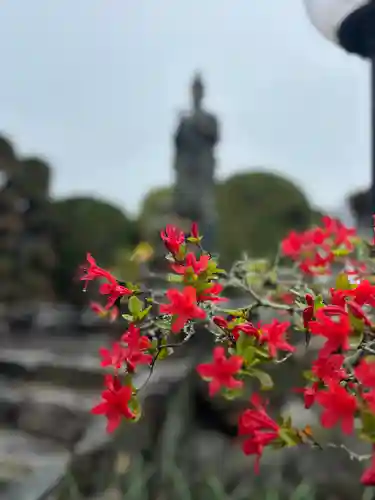 西福寺(兵庫県)