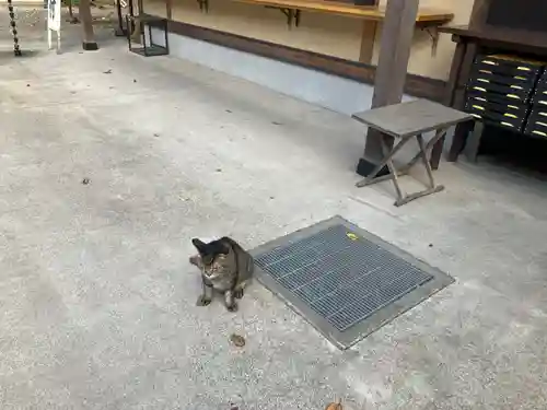 所澤神明社(埼玉県)