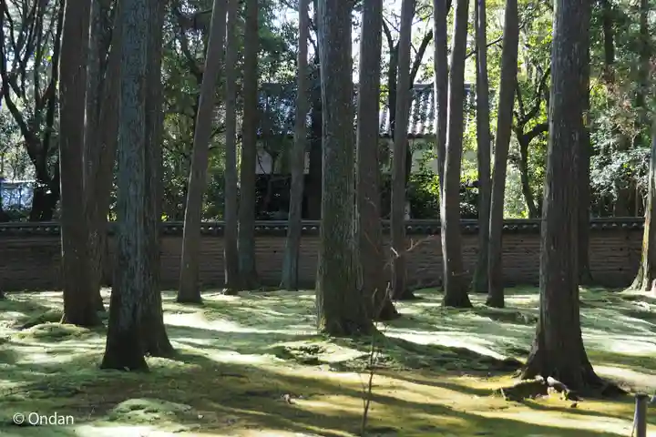 唐招提寺(奈良県)