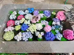 東海市熊野神社の手水