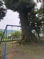 日枝神社(福井県)