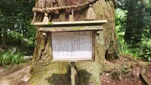 高藏寺(宮城県)