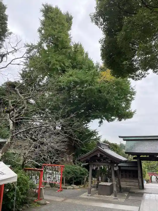 荏柄天神社(神奈川県)