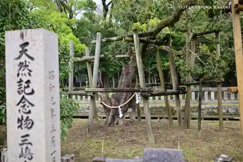 三嶋大社のその他建物