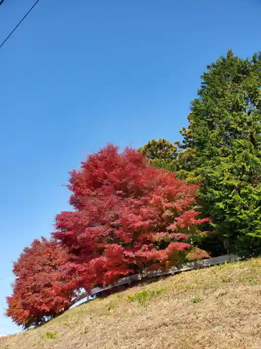 滑川神社 - 仕事と子どもの守り神(福島県)