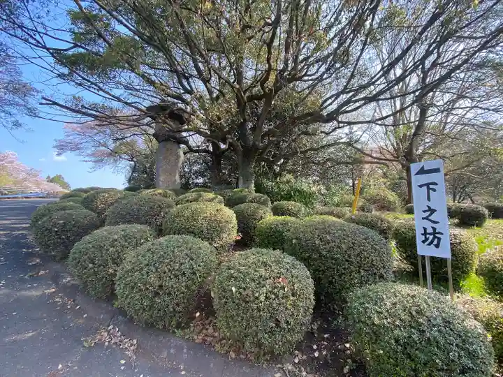 下之坊(静岡県)