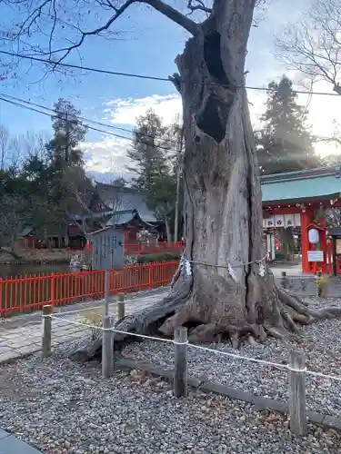 生島足島神社(長野県)