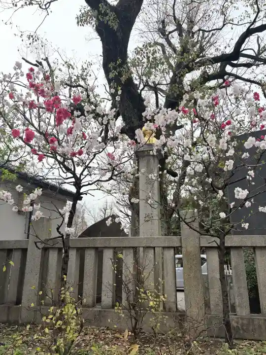 素盞雄神社の{uncategorized: "未分類", other: "その他", undefined: "問題あり", building: "その他建物", grave: "お墓", sacred_gate: "鳥居", guardian: "狛犬", statue: "像", buddha: "仏像", history: "歴史", nature: "自然", garden: "庭園", animal: "動物", pagoda: "塔", temizu: "手水舎", mountain_gate: "山門・神門", sanctuary: "本殿・本堂", subordinate: "末社・摂社", art: "芸術", scenery: "景色", jizo: "地蔵", ema: "絵馬", goshuin: "御朱印", omikuji: "おみくじ", items: "授与品その他", amulet: "お守り", goshuincho: "御朱印帳", eats: "食事", festival: "お祭り", votive_dance: "神楽", shichigosan: "七五三参", wedding: "結婚式", experience: "体験その他", initially: "初詣", around: "周辺", anti_infection: "感染症対策"}
