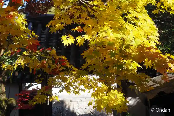 安養院(兵庫県)