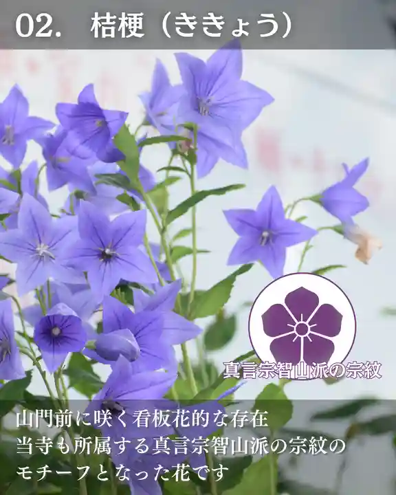 宝光寺(北海道)