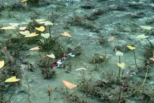 根道神社(岐阜県)