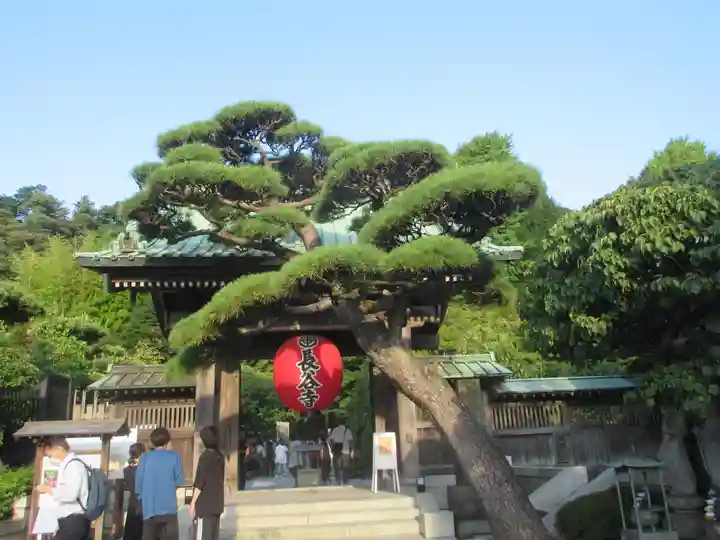 長谷寺(神奈川県)