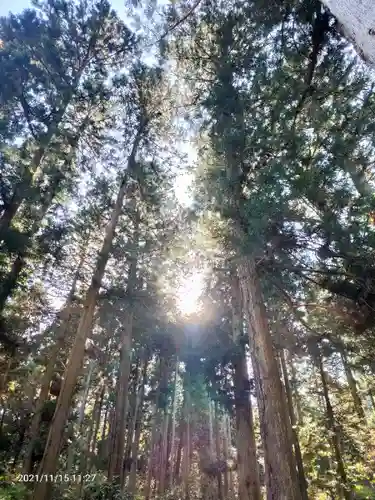 御岩神社の自然