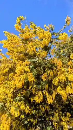 七百餘所神社 の自然