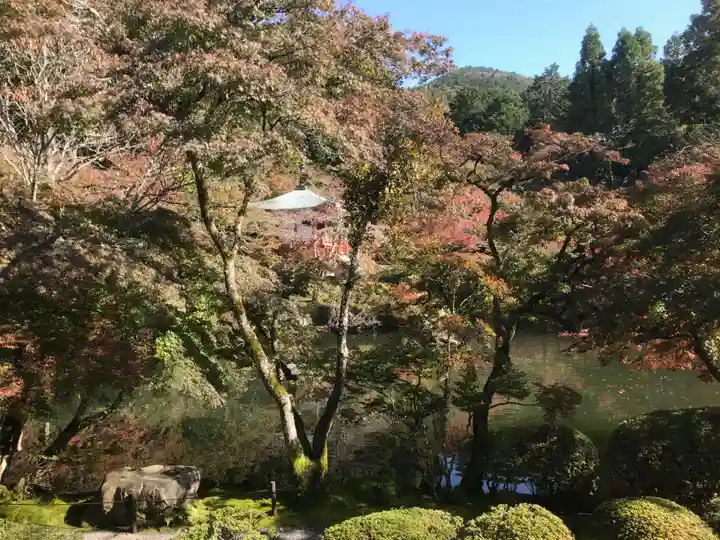 醍醐寺(上醍醐)(京都府)