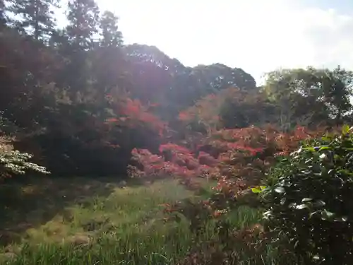 長岳寺(奈良県)