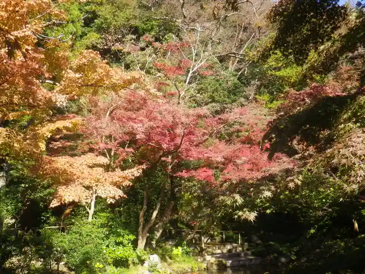 鶴岡八幡宮の自然