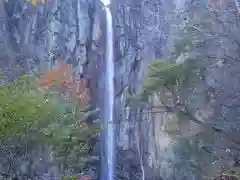 米子不動尊　本坊米子瀧山不動寺の自然