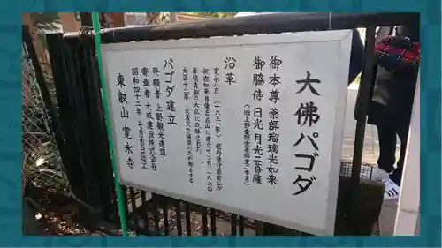 上野大佛(東京都)