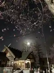 信濃神社の本殿