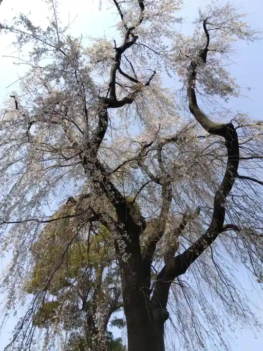 三明寺(愛知県)