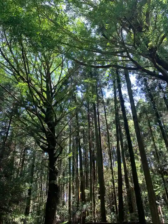 白山神社の周辺