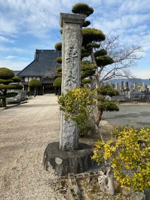 妙長寺の建物その他